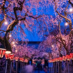 Đền Mishima Taisha