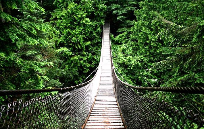 cau-treo-capilano Cầu treo Capilano