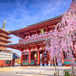 Chùa cổ Asakusa Kannon