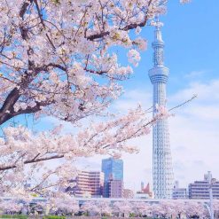 Tokyo Sky Tree