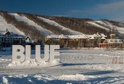 Blue Mountain châu úc