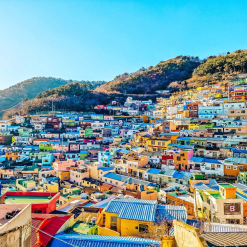 du lịch mùa hè hàn quốc giá rẻ