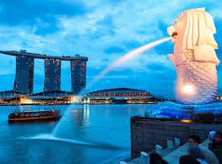 Khám phá công viên sư tử biển datnamtravel