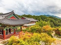 du lịch mùa hè hàn quốc 2