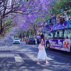 du lịch côn minh 6 ngày 6 đêm dat nam travel