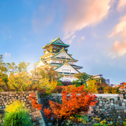 du lịch nhật bản mùa thu