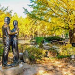 Du lịch hàn quốc nami - seoul - everland mùa thu