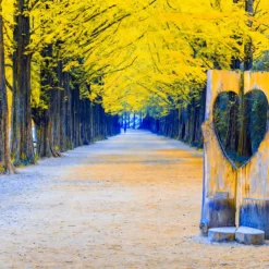 đảo nami hàn quốc mùa lá đỏ