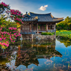 du lịch gyeongju hàn quốc mùa thu