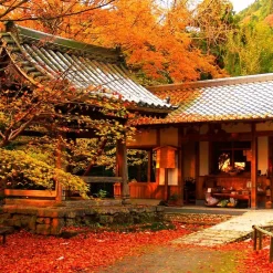 hình ảnh mùa thu siêu đẹp tại Nhật Bản