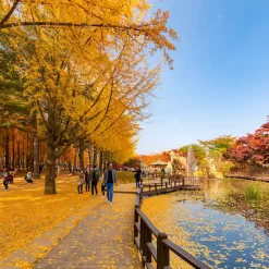 khám phá mùa thu hàn quốc đẹp nhất năm