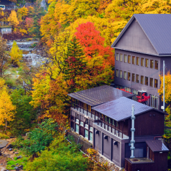 mùa thu ở hokkaido