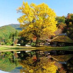 trải nghiệm du lịch hokkaido mùa thu