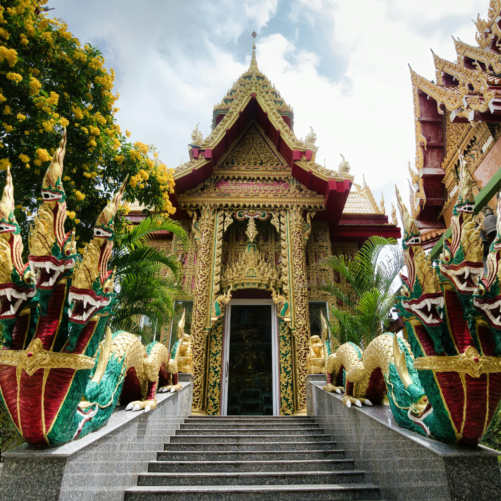 khu du lịch suan thái lan khu du lịch suan thái lan