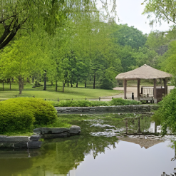 tham quan công viên sinh thái yeoui - do