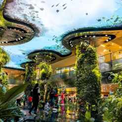 Khám phá sân bay changi đẹp nhất châu á