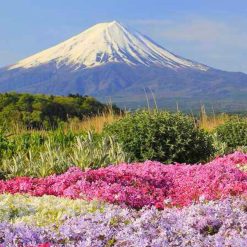 tham quan nhật bản yamanashi